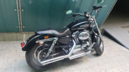 2013 Harley-Davidson Sportster 1200 (XL1200)