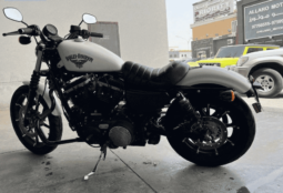 2018 Harley-Davidson Sportster 883 Low (XL883L) full