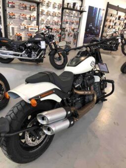 2019 Harley-Davidson Fat Bob 114 (FXFBS) full