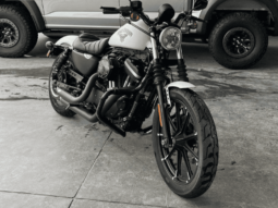 2018 Harley-Davidson Sportster 883 Low (XL883L) full