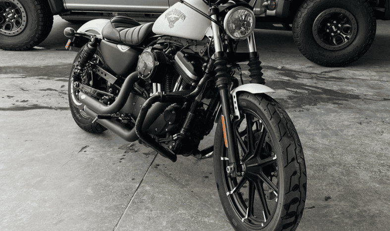 2018 Harley-Davidson Sportster 883 Low (XL883L) full